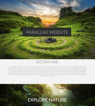 Parallax Website